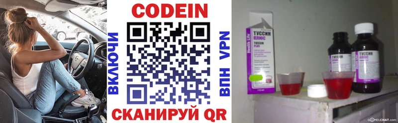 купить наркоту  omg ссылки  Кодеиновый сироп Lean Purple Drank  Балей 
