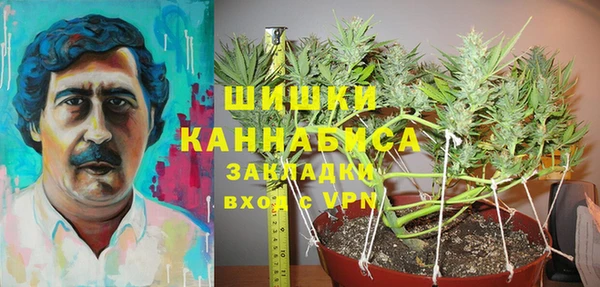 гидра Наволоки