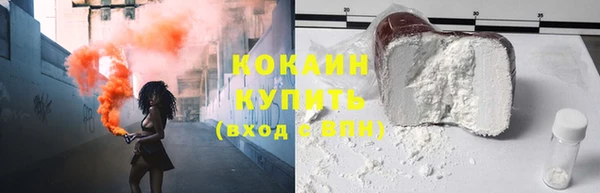 гидра Наволоки