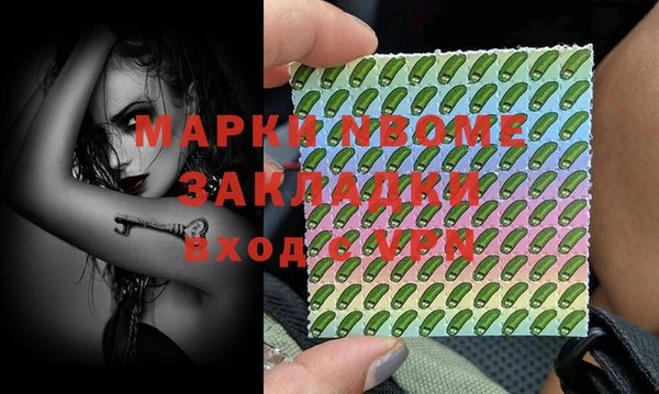 сатива Долгопрудный