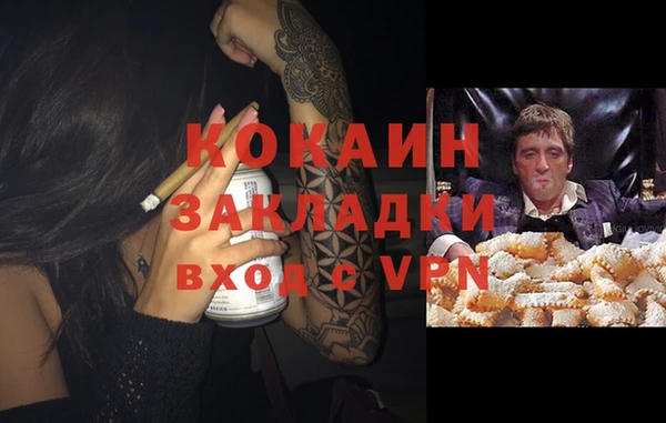 гидра Наволоки