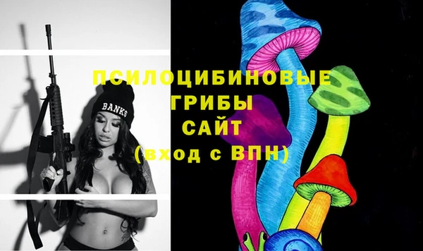 гидра Наволоки