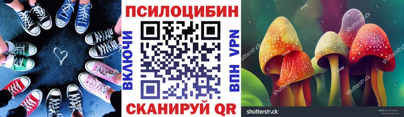 Псилоцибиновые грибы Cubensis  Балей 